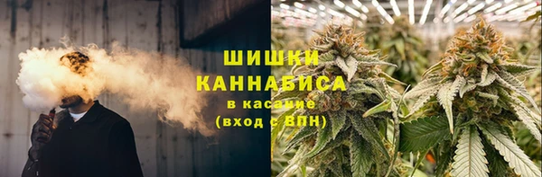 амф Богородицк